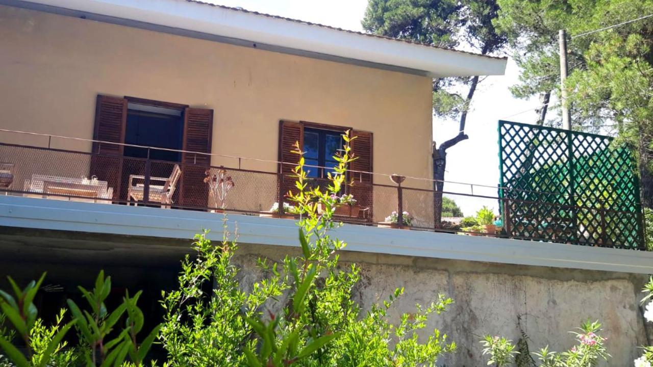 B&B Etnea Centoundici Nicolosi Kültér fotó