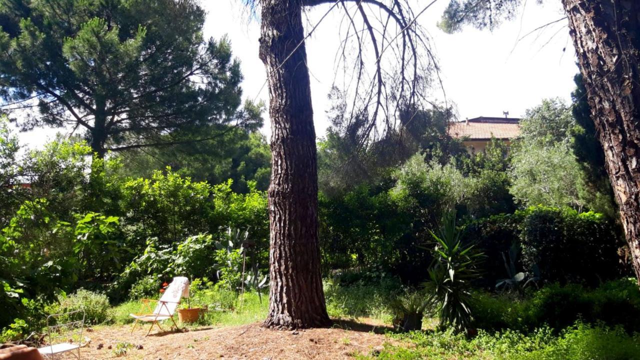 B&B Etnea Centoundici Nicolosi Kültér fotó